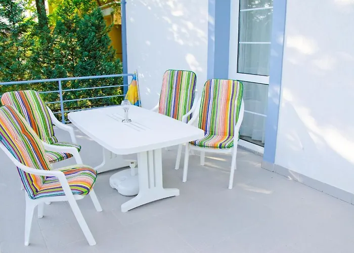 Samson * Hajdúszoboszló